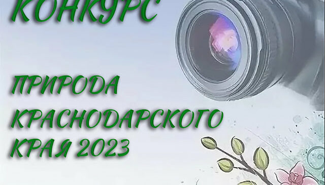Конкурс «Природа Краснодарского края, 2023»