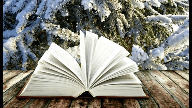 Книги с «зимним настроением» ждут вас!